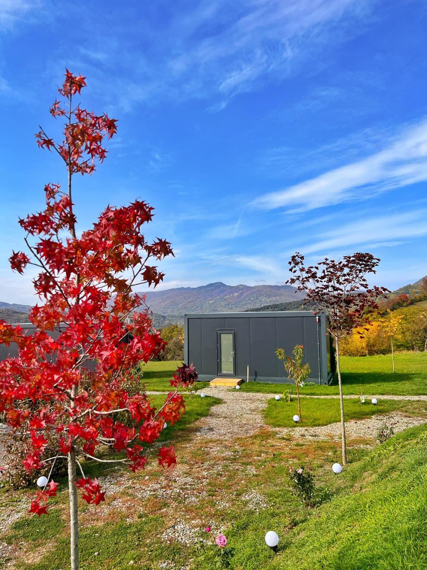 Hotel Flandra Glamping Corbeni Exteriér fotografie